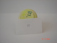 DSC02498.JPG